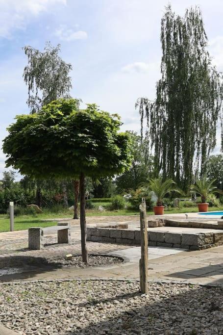 Ferienwohnung Weingut Lahmer August Kretzschau Exteriör bild